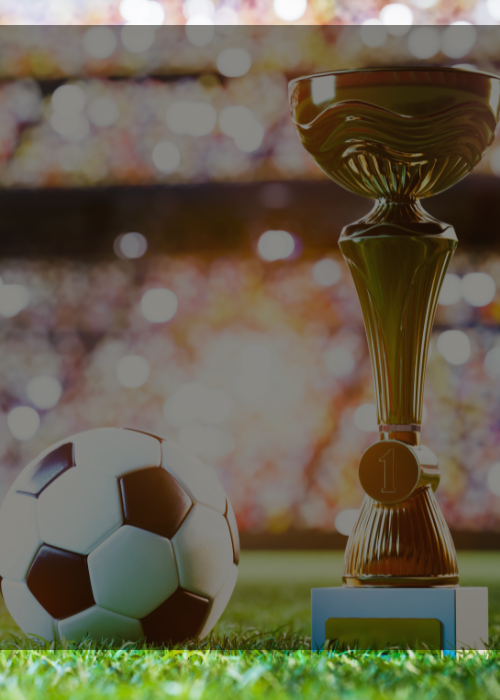 TOUR MUNDIAL 2026 OPCION 3 PARTIDOS $13590 EXVR DIABLO QUITEÑO TRAVEL AND EVENTS